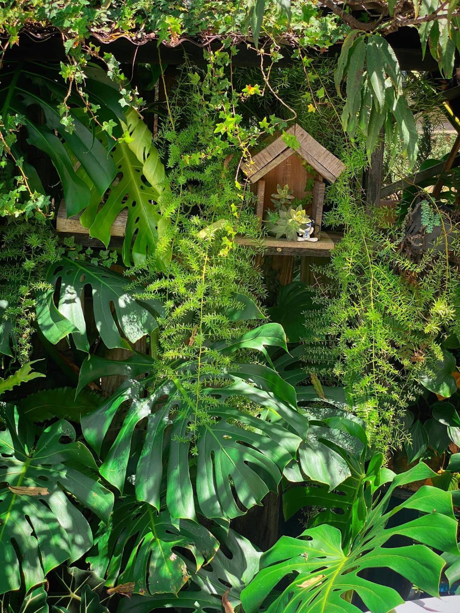 Dalat Memories Homestay - Phố Sương Mờ Đà Lạt Da Lat Exterior foto