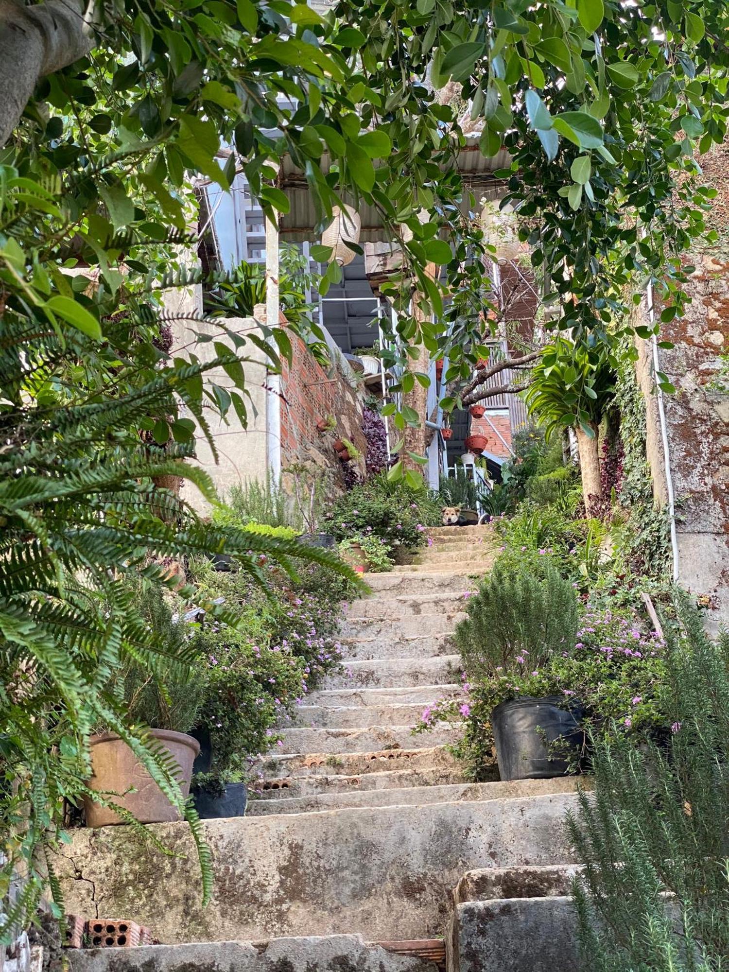 Dalat Memories Homestay - Phố Sương Mờ Đà Lạt Da Lat Exterior foto