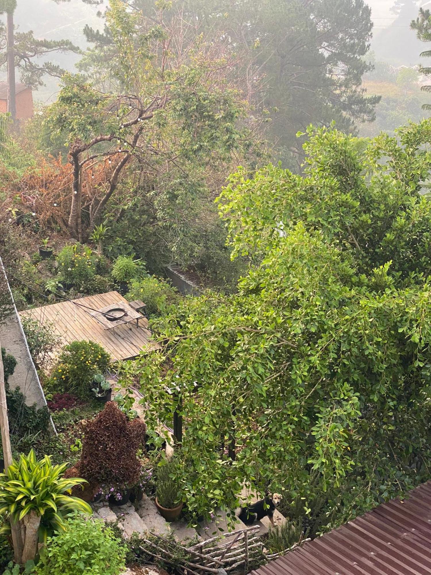 Dalat Memories Homestay - Phố Sương Mờ Đà Lạt Da Lat Exterior foto