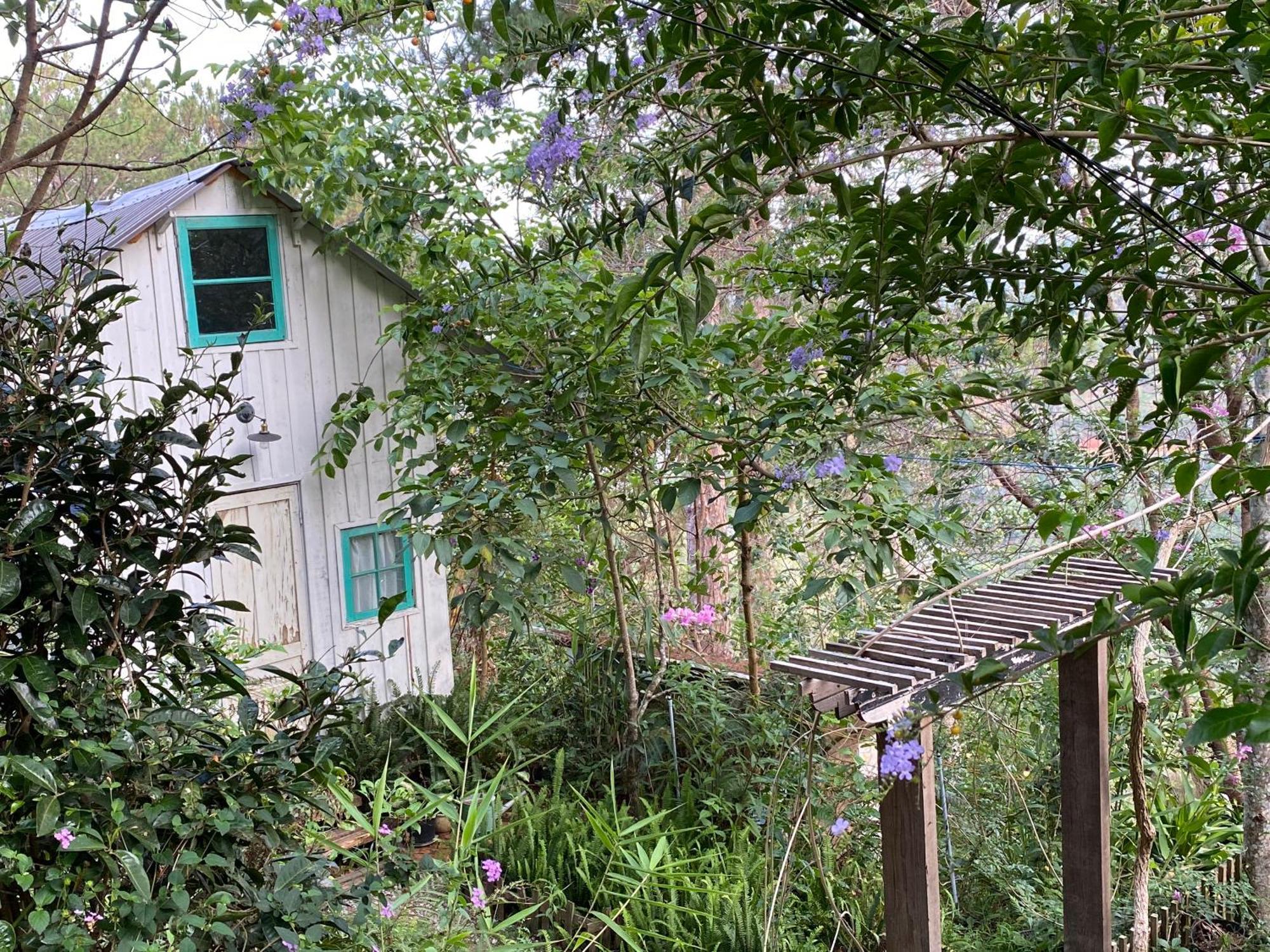 Dalat Memories Homestay - Phố Sương Mờ Đà Lạt Da Lat Exterior foto