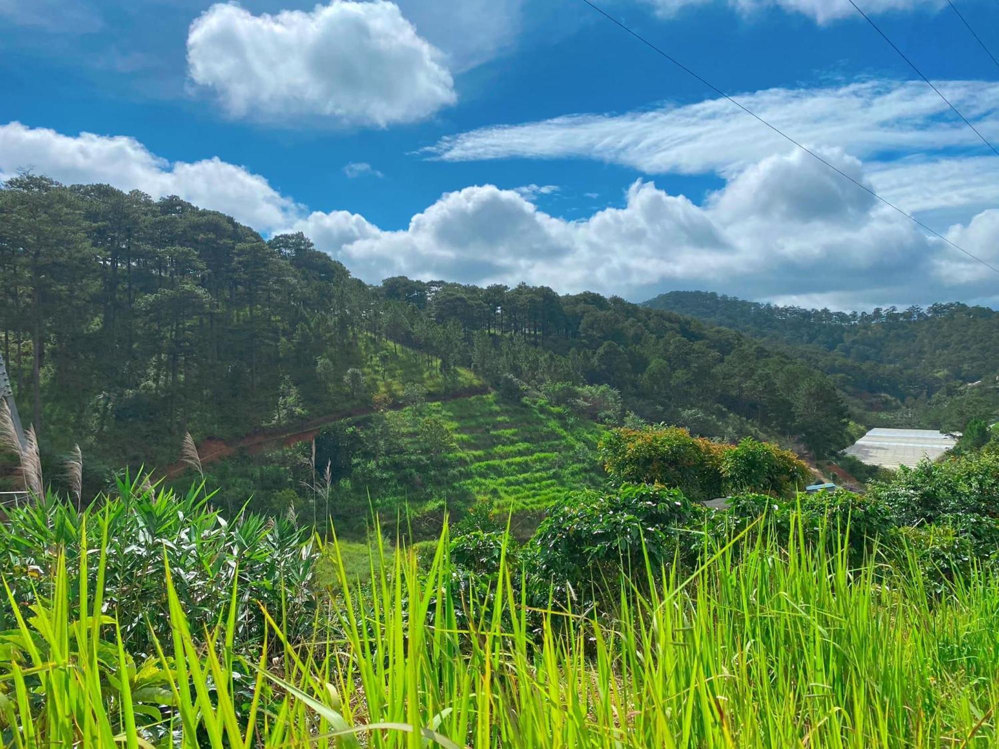Dalat Memories Homestay - Phố Sương Mờ Đà Lạt Da Lat Exterior foto